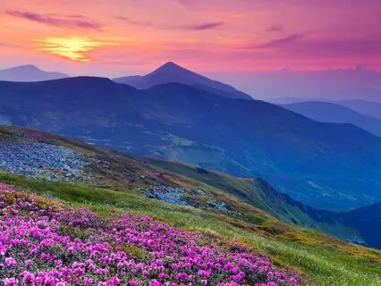 The Baby Dragon: Bedtime Tale