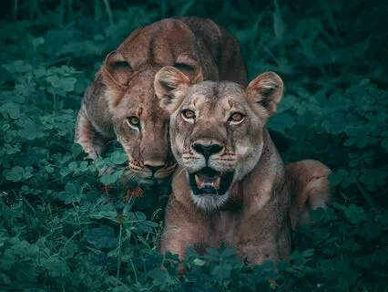 The Balance: Closeness And Distance