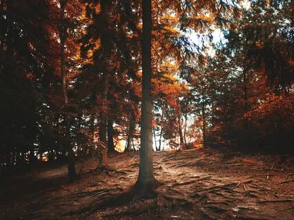 The Balance Of Mabon