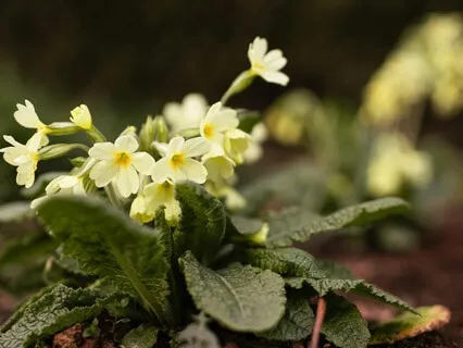 The Balance Of Stillness And Activity - February 18