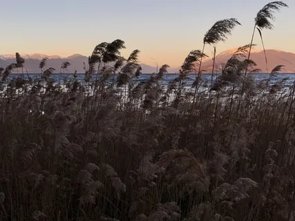 The Banks Of Lake Garda, Sirmione, Italy