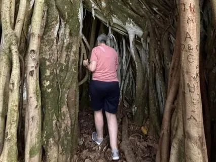 The Banyan Tree Of Courage