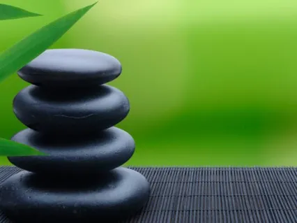 The Basic Assumptions Of IFS And A Guided Parts Check-In