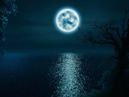 The Bayou: Bedtime Story & Sleep Meditation