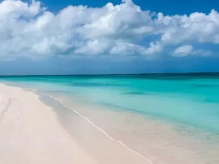 The Beach:  A Journey Toward Stillness