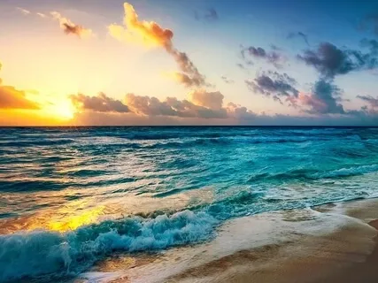 Ocean Visualization & Breath Practice