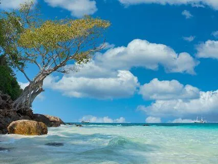 The Beach | Drift Into Effortless Sleep | Calming Sleep Aid