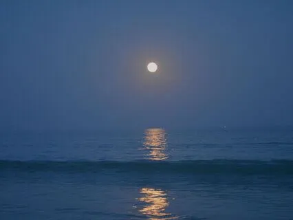 The Beachcomber's Hideaway: Relax To Sleep