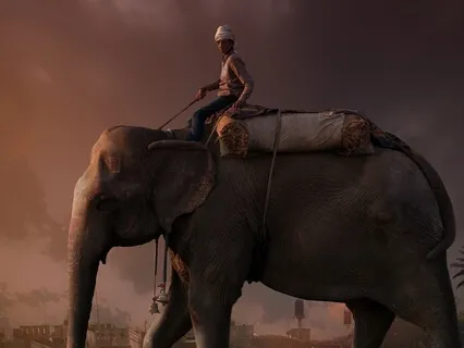 The Beautiful Fragility Of Focus: The Elephant And The Rider