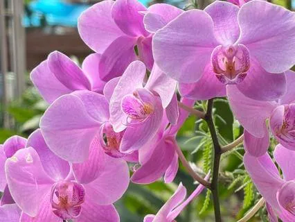 The Beauty And Inspiration In Nature