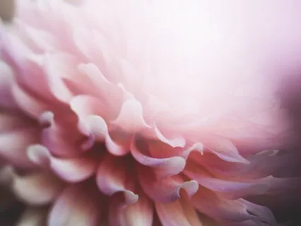 The Beauty Inside Me