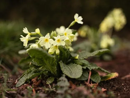 The Beauty Of Curiosity  - February 08