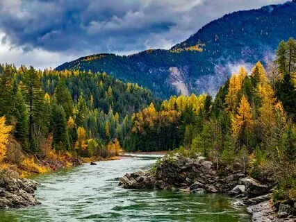 The Beauty Of Grief: A Poem Where Love And Loss Intertwine