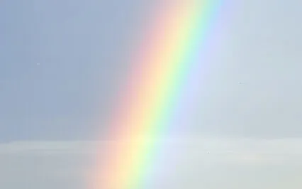 The Beauty of Life - Ambient Cello in Major Key