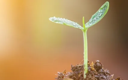 The Beauty Of Life (Poem)