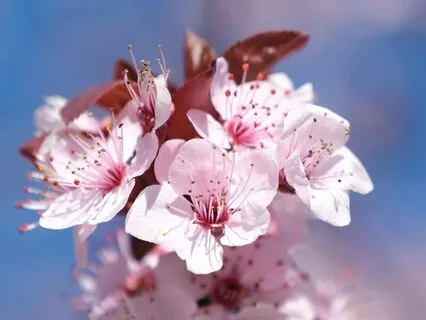 The Beauty Of Not Manipulating Anything... But How?