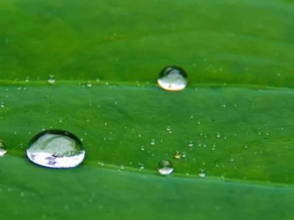 The Beauty Of Ordinary Moments For Mindfulness And Joy