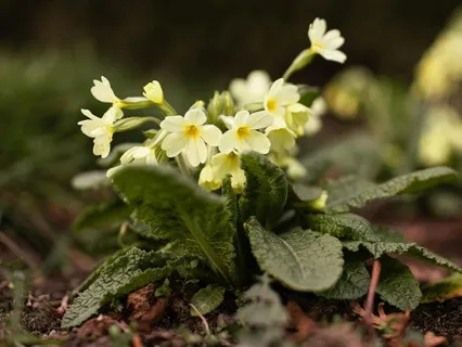 The Beauty Of Powerful Gestures- February 06