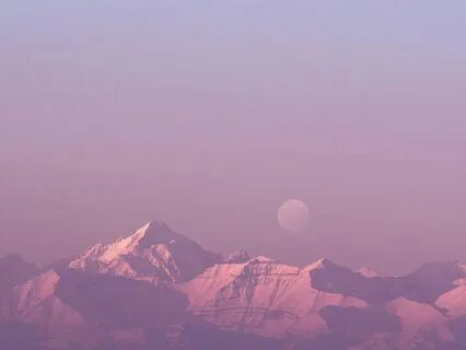 The Beauty Of Reflection