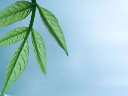 The Beauty Of Rest – Honoring The Necessity Of Stillness