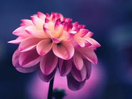 The Beauty Of Struggle