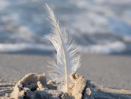 The Beauty Of The Sea