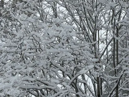 The Beauty Of Universal Wisdom - Instrumental Music Journey