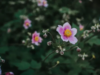 The Beauty Of Your Soul With Angel Yofiel