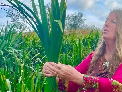 The Beauty Within - Akashic Icelandic Transmission