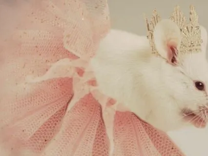 The Bedtime Story of 'The Princess Mouse'