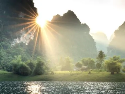 The Beginner’s Mind For Renewal