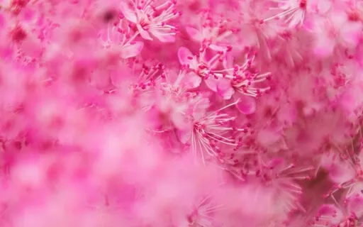 The Beginning Of Healing 