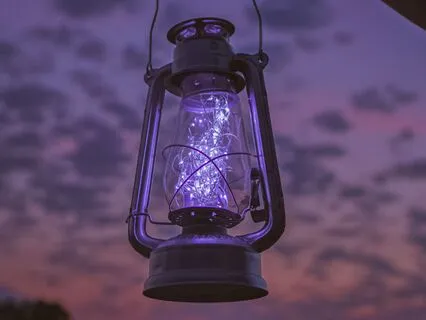 The Beginning Of The Armadillos