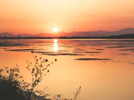 The Benefits Of Mindfulness