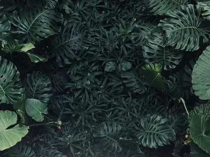 The Benefits Of Slowing Down