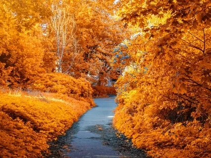 The Best Healing Frequency 432Hz - Raise Positive Vibrations