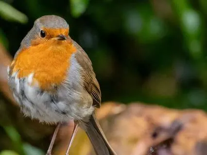 The Best Version Of You Today: Greet Morning Kindly & Calmly