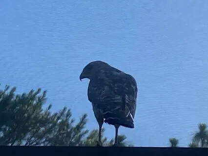 The Bet - A Short Story Written By Anton Chekhov