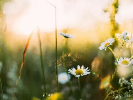 The Big Skinny On Walking Barefoot