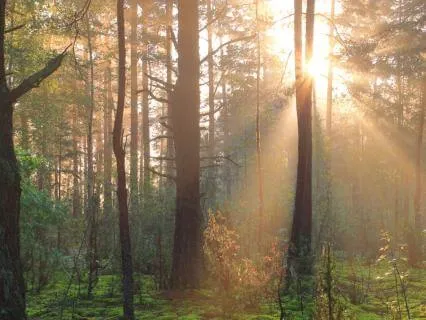 The Big Topic Of Intention