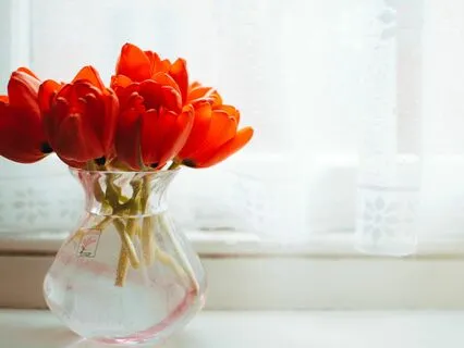 The Birth Of A Woman: Reclaiming Your Femininity