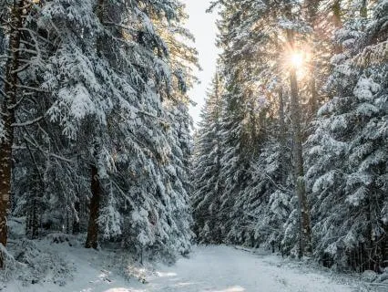 The Blessings Come Like A Waterfall