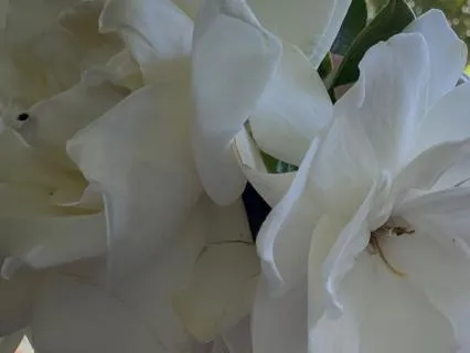 The Blessings Of Angels And Their Unseen Presence