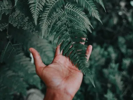 The Blessings Of Gratitude