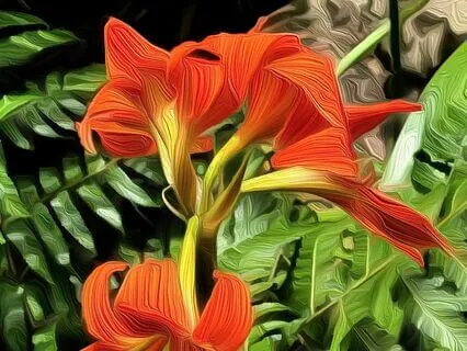 The Blessings Of Nature