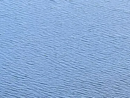 The Blue Whale Is Aware Of You (Soothing Support)