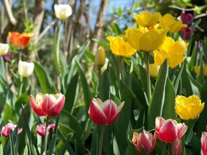 The Bodhisattva Way: Living An Awakened Life