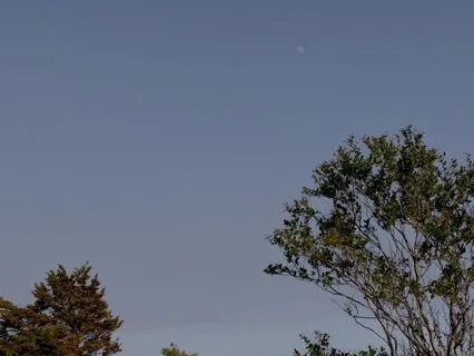 The Body As A Model (Part 2)