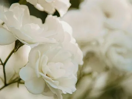 The Body As Sanctuary: Deep Rest Yoga Nidra