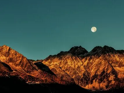 The Body Only Speaks In The Present Tense